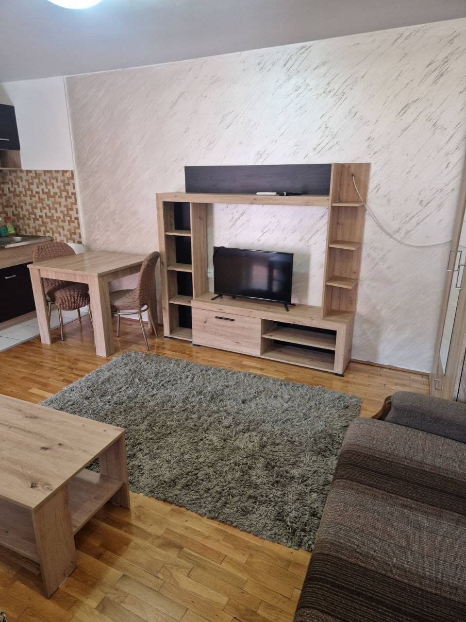 Zemun, Bosanska Caddesi'nde Kiralık Geniş Stüdyo Daire - 1